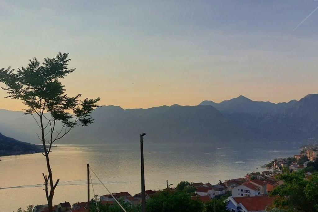Appartamento Animil 1 Cattaro Esterno foto
